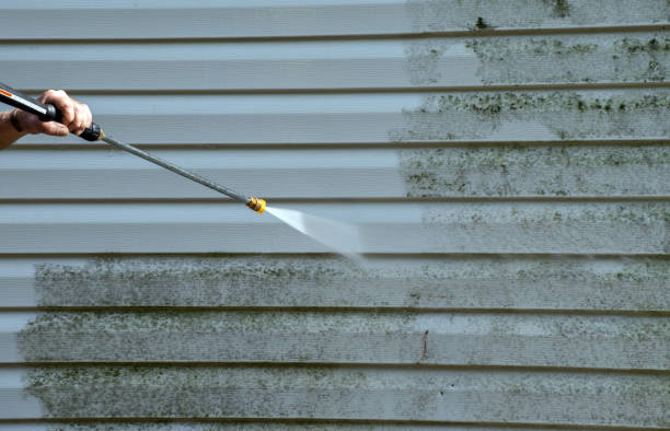 Best Commercial Mold Removal  in Anna, IL