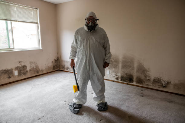 Best Mold Cleaning Services  in Anna, IL